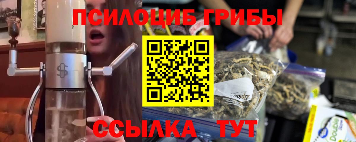 купить наркотики сайты  Галлюциногенные грибы Psilocybe  Вход с VPN  Снежинск 